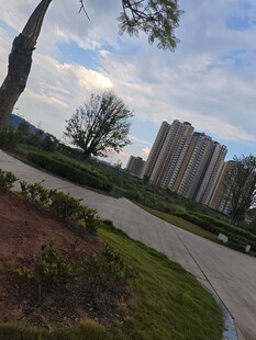 城市中的绿化道路景观