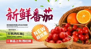 新鲜番茄与橙子水果组合