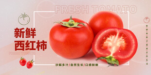 西红柿