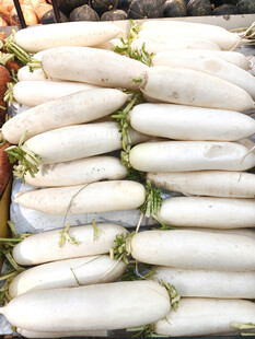 新鲜白萝卜整齐摆放