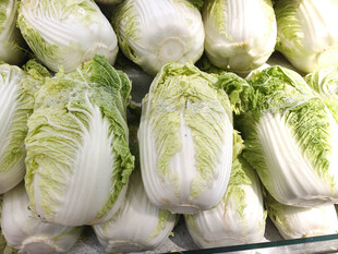 新鲜大白菜堆叠展示