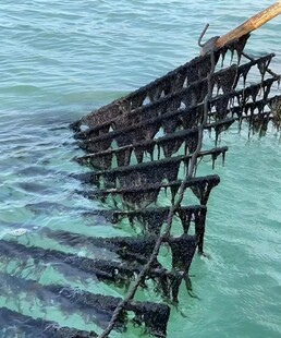 海带养殖