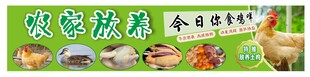 土鸡土鸭