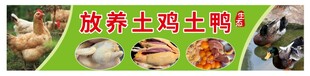 放养土鸡土鸭土鹅