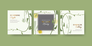 清新绿植风三折页设计