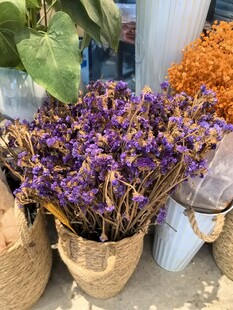 多彩干花束展示