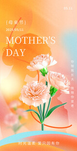 母亲节康乃馨温馨画面