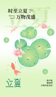 夏日荷塘蜻蜓立荷叶