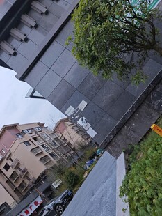 城市街角建筑与绿植景观