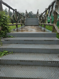 雨中金属阶梯与周边绿植景观