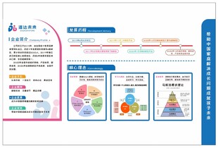 企业历程简介