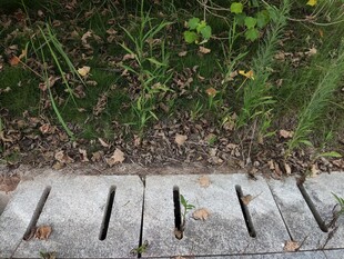 户外草地旁的排水金属格栅