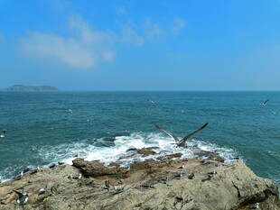 海边礁石与翻涌海浪景观