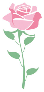 粉色单枝玫瑰插画