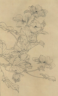 百花图谱