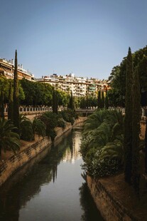 河畔城市风光绿树环绕