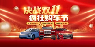 决战双11疯狂购车节