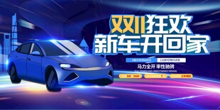 双11狂欢新车开回家