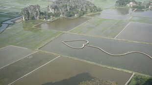 田野间蜿蜒小路航拍景象