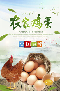 鸡蛋海报