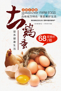 鸡蛋海报