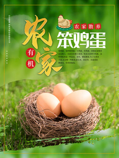 鸡蛋海报