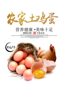 鸡蛋海报