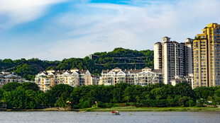 河畔高楼与葱郁景致