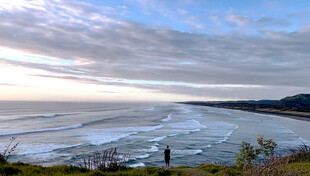 新西兰鸟岛风光