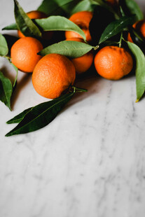 新鲜橘子带叶摆于石台