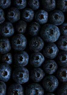 饱满蓝莓特写