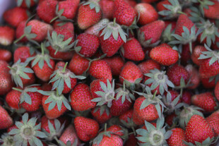 新鲜饱满的草莓堆