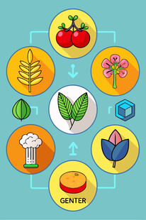 多彩园艺元素集合