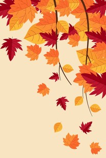 秋日枫叶垂落美景