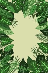 热带绿植环绕的空白背景