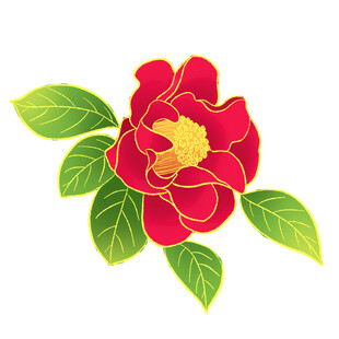红色花卉插画 