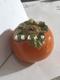 柿子