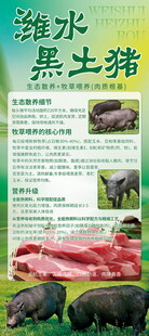 潍水农家黑土猪介绍展架