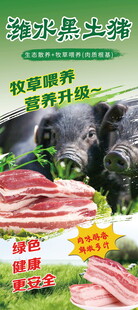 潍水黑土猪展架海报介绍