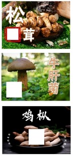 菌菇标签