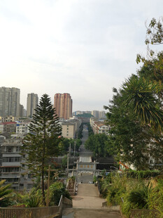 城市间绿意盎然的步道