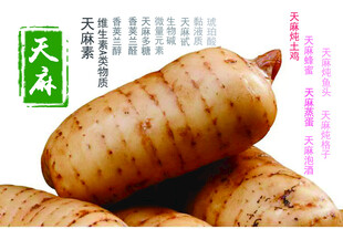 新鲜天麻堆叠展示