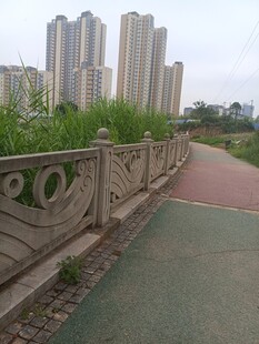 城市步道旁的高楼与绿植