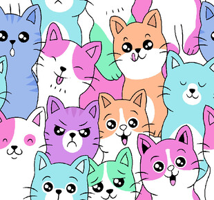 多彩萌猫大集合