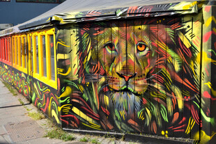 街头彩色狮子涂鸦艺术