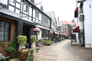 古色古香的中式街巷景观