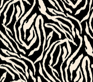 黑白斑马纹图案纹理