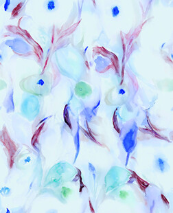 梦幻水彩羽毛纹理图案