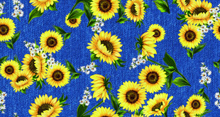 蓝色背景向日葵花卉图案