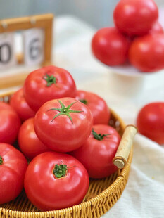 筐中鲜番茄
